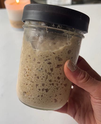Beginner Sourdough Starter Recipe