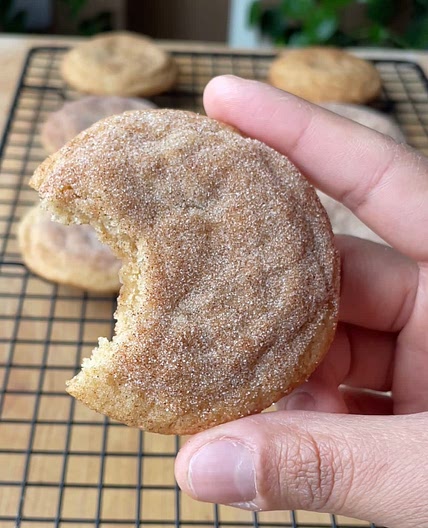 Ultimate Snickerdoodles