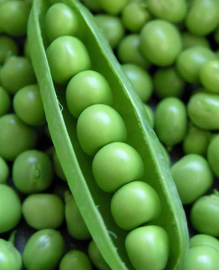 Pea soup