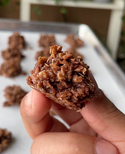 Chocolate Coconut Macaroons