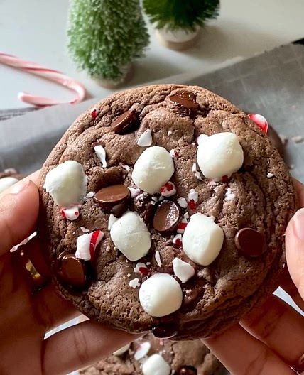 Hot Chocolate Cookies