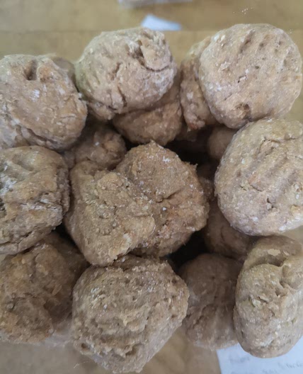 Dog Biscuit