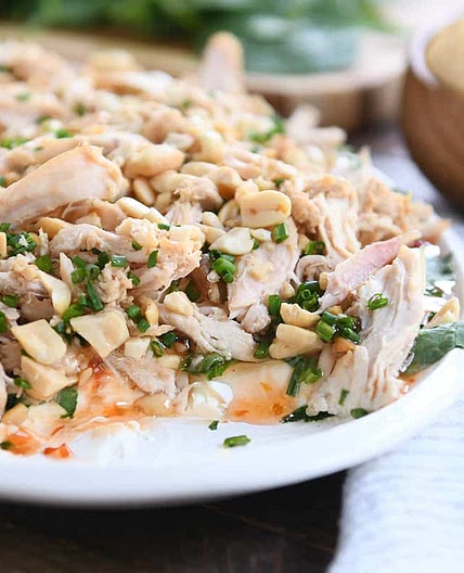 Seasame Chicken Dip