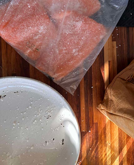 Salmon cured in salt 