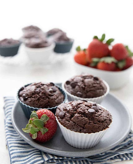 Chocolate Protein Muffin Recipe