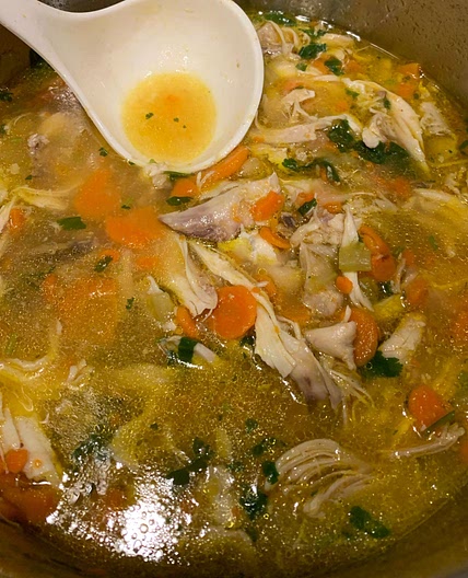 Instant Pot Chicken Noodle Soup