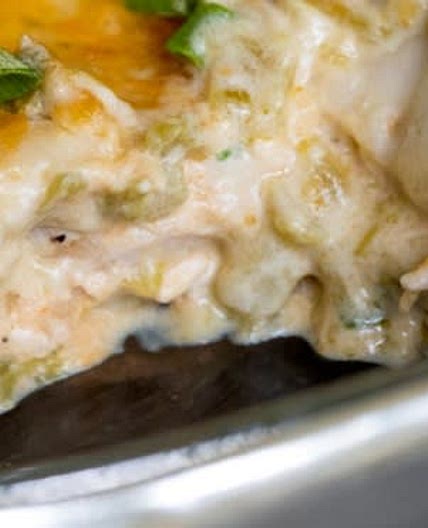 Cream Cheese Chicken Enchiladas