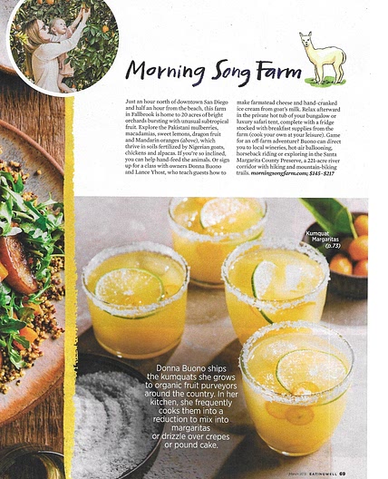 Kumquat Margaritas