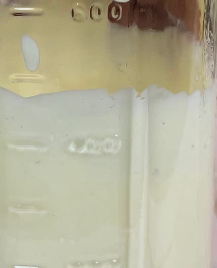 HOMEMADE MAYO