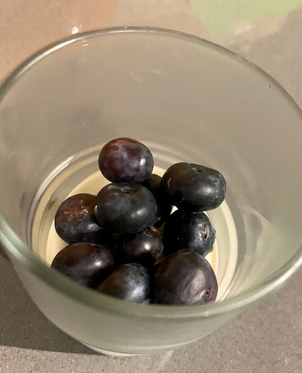 Keto Panna Cotta