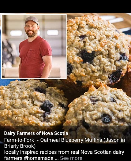 Blueberry Oatmeal Muffins