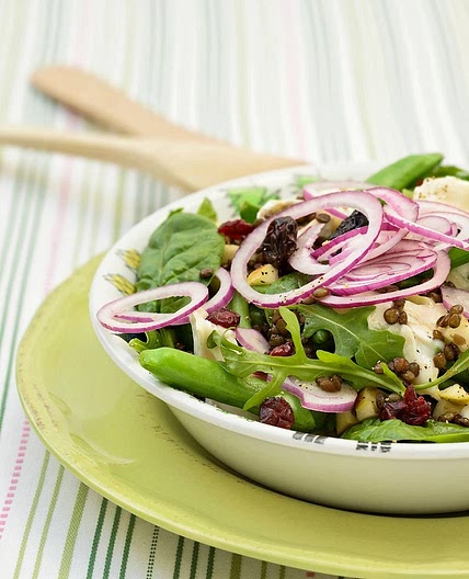 Lentille verte epinard saumon