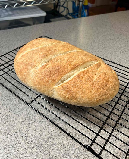 Easy Artisan Loaf
