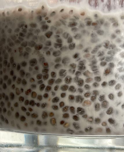 Chia seed pudding 