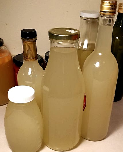 Apple Scrap Vinegar