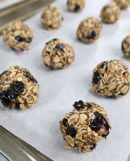 Healthy Blueberry Energy Bites