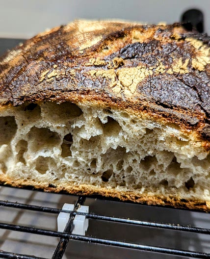 No Knead Sourdough