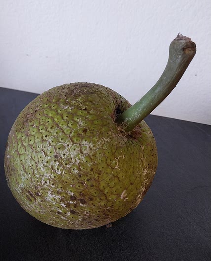 Confiture de fruit à pain