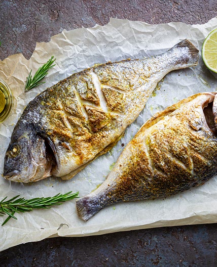 Sea Bream