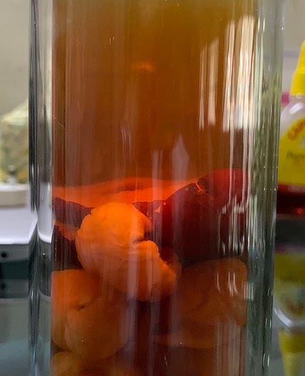 Red Dates and Longan Tea