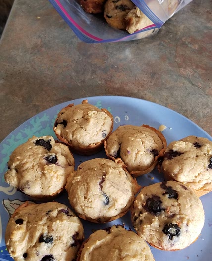 Protein Blueberry Muffins