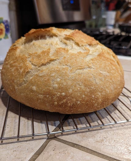 Lisa’s Easy Artisan Bread