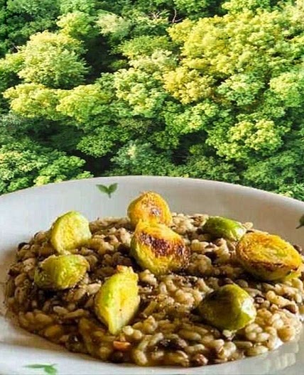 Risotto con lenticchie e cavolini di Bruxelles