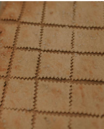Sourdough cheese crackers 