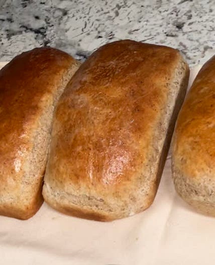 Grandma’s Bread Recipe 