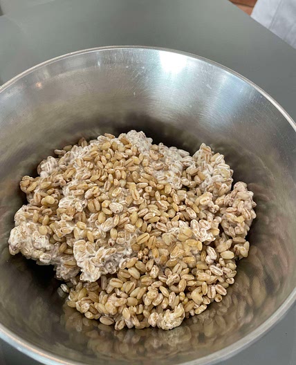 Koji