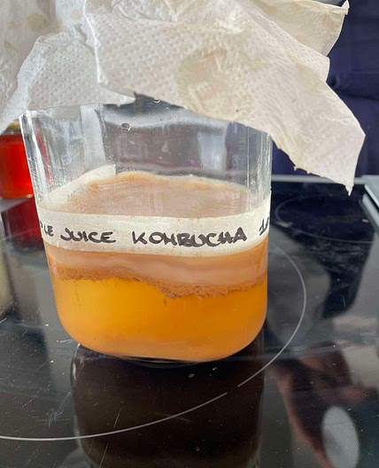 Honey kombucha