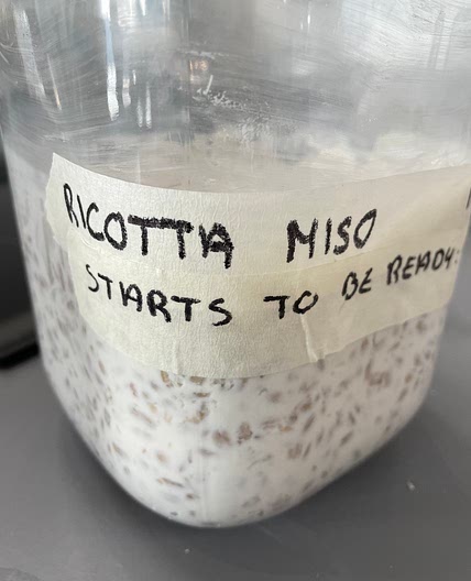 Ricotta miso
