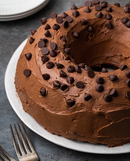 Ridiculous Chocolate Cake