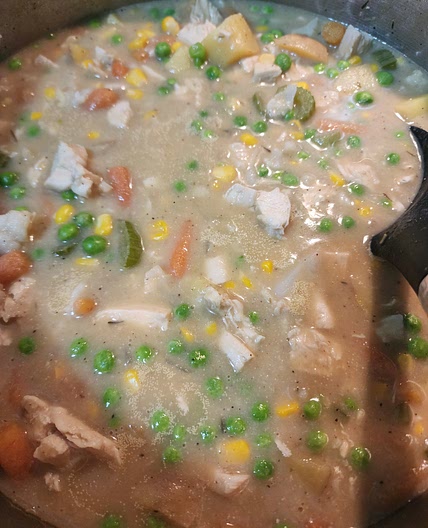 Creamy chicken soup without noodles