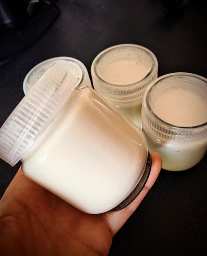 Vegan soy yogurt with yogurt maker