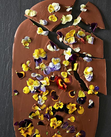 Viola Candy Bark