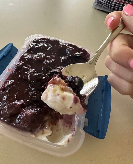 Blueberry jelly and yogurt snack/dessert 