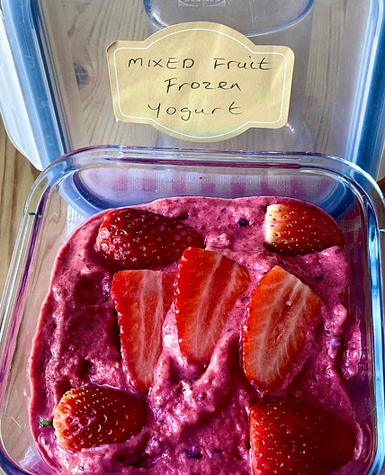 Mixed Fruit Frozen Yogurt 