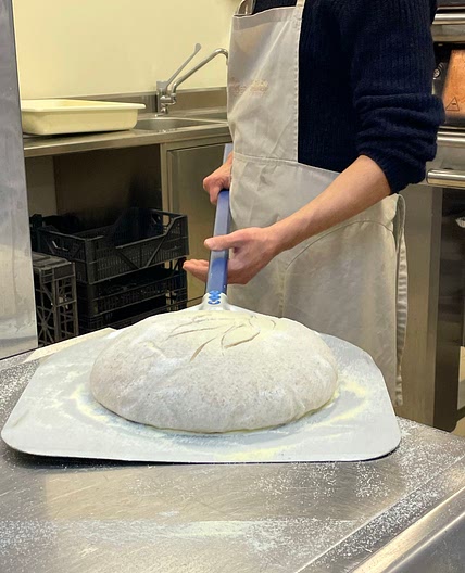 Forno Brisa Sourdough