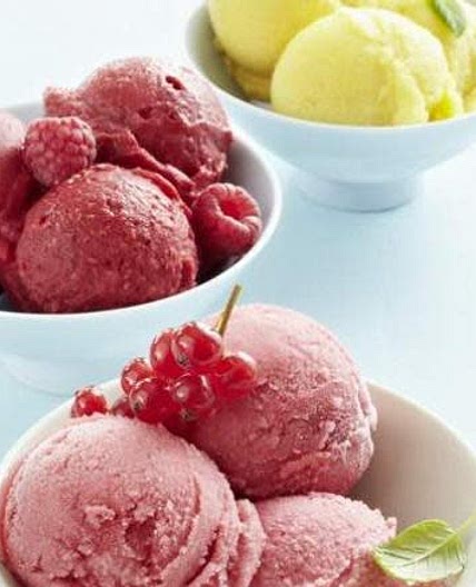Sorbet au Thermomix