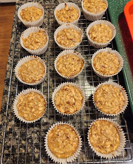 Apple Oat Muffins