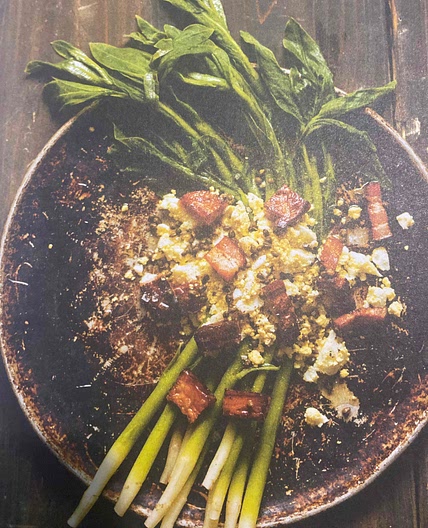 Salade de pousses d’asclépiade aux baies de sureau immatures