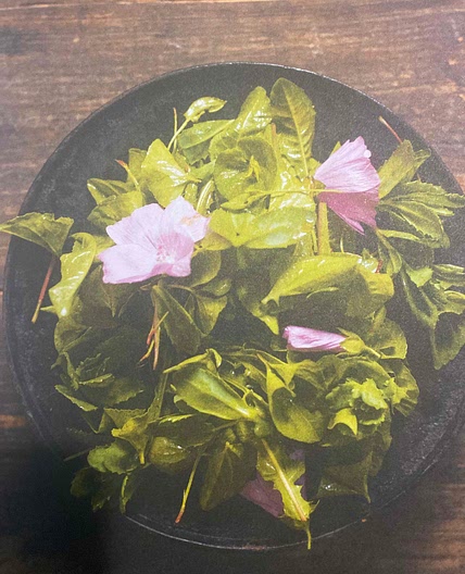 Salade de feuilles de violette et de fleurs
