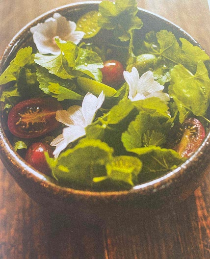Salade de mauve et de mini légumes du jardin