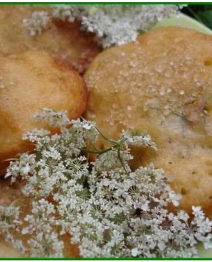 Beignets de fleurs de carottes sauvages 