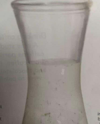 Homemade Ranch Dressing
