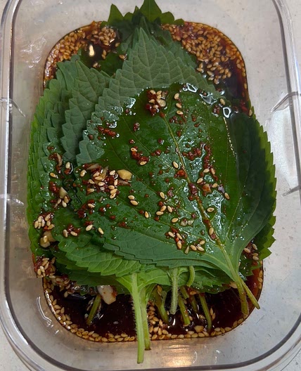 Korean Pickled Perilla Leaves