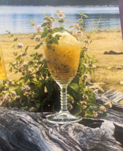 Sorbet à la menthe