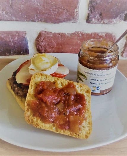 Ketchup aux gousses d’asclépiade