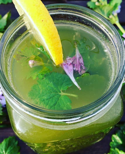 Cocktail sans alcool au lierre terrestre